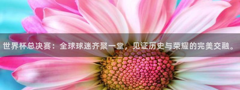 世界杯附加赛赛程表:世界杯总决赛:全球球迷齐聚一堂,见证历史与荣耀的完美交融。