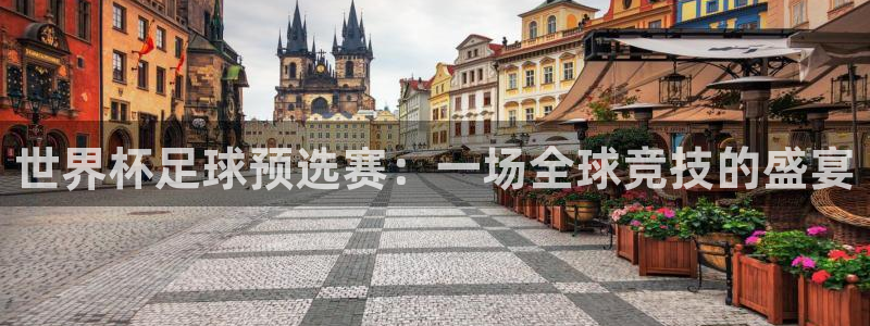 2026世界杯赛:世界杯足球预选赛:一场全球竞技的盛宴