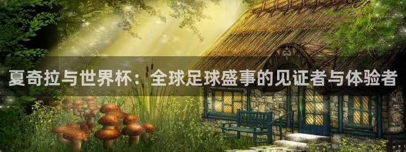 美国世界杯:夏奇拉与世界杯:全球足球盛事的见证者与体验者