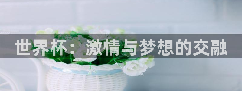足球世界杯赛程:世界杯:激情与梦想的交融