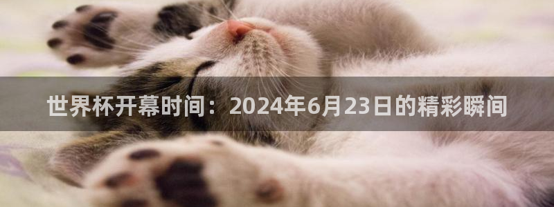 世界杯小组赛赛程:世界杯开幕时间:2024年6月23日的精彩瞬间