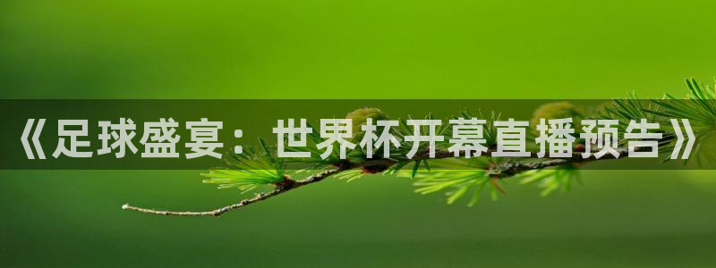 世界杯官网入口:《足球盛宴:世界杯开幕直播预告》