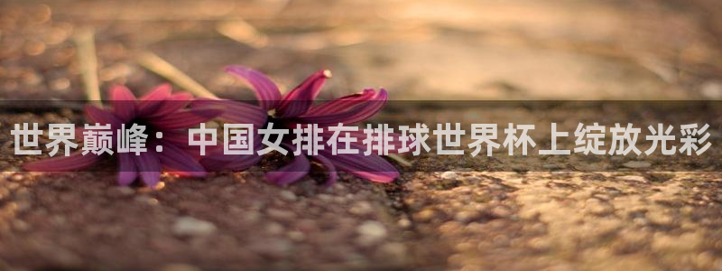 今天所有足球赛程表:世界巅峰:中国女排在排球世界杯上绽放光彩